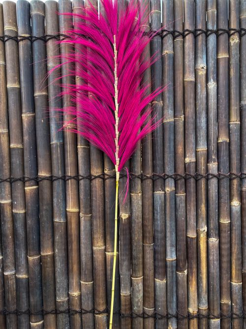 Pampas pluimen twin 220x60 cm Pink